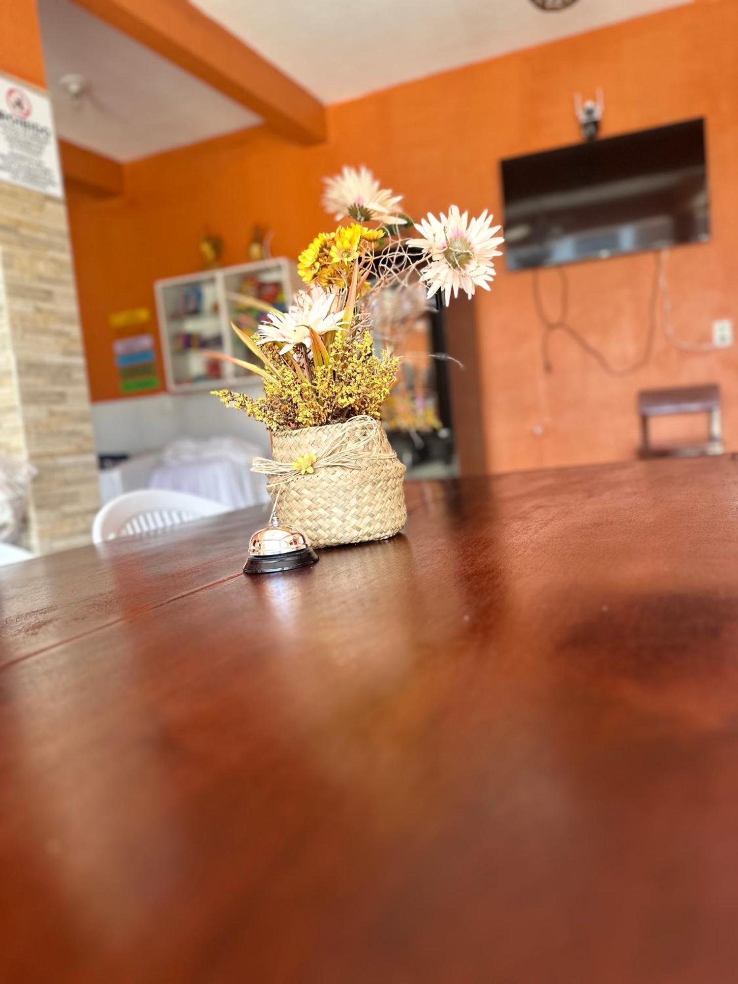 Extralar * Fortaleza (Ceara)